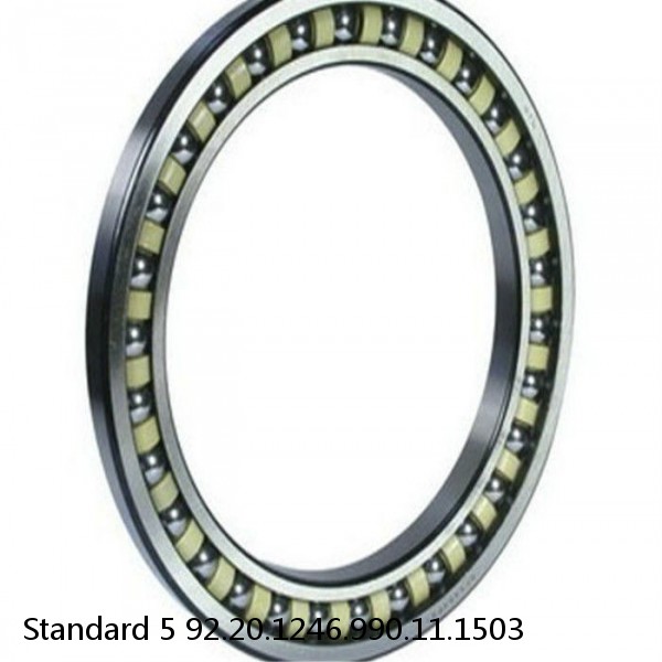 92.20.1246.990.11.1503 Standard 5 Slewing Ring Bearings