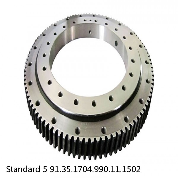 91.35.1704.990.11.1502 Standard 5 Slewing Ring Bearings