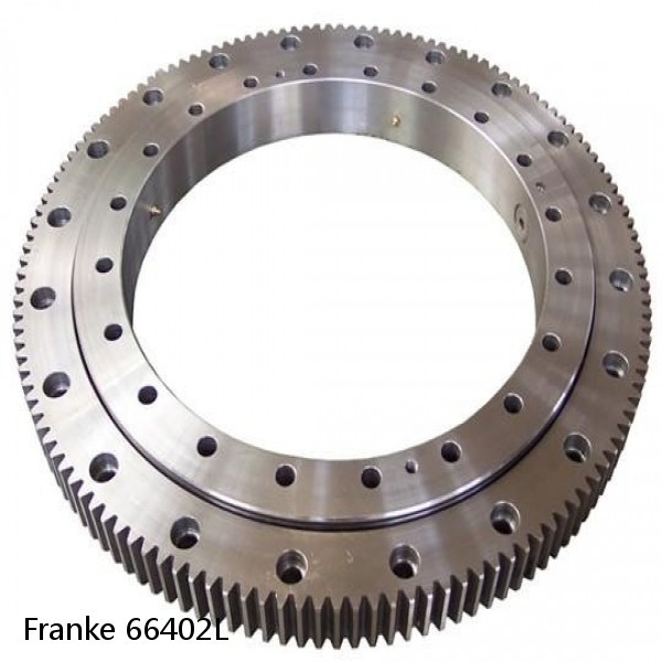 66402L Franke Slewing Ring Bearings