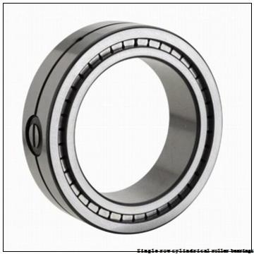 35 mm x 80 mm x 21 mm  NTN NUP307ET2X Single row cylindrical roller bearings