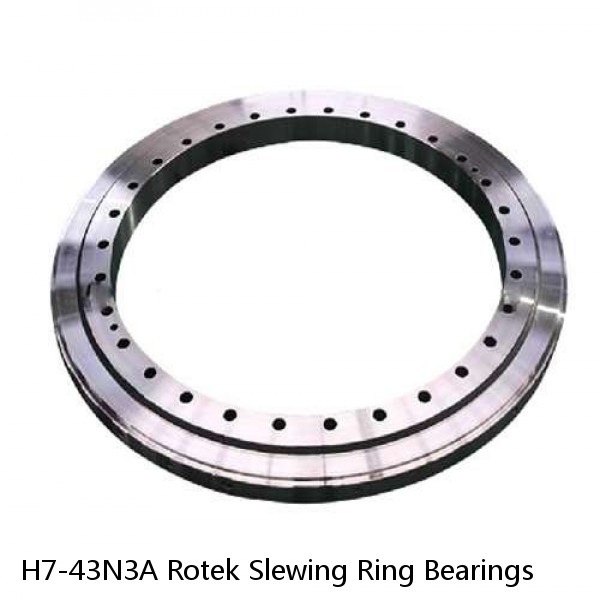 H7-43N3A Rotek Slewing Ring Bearings