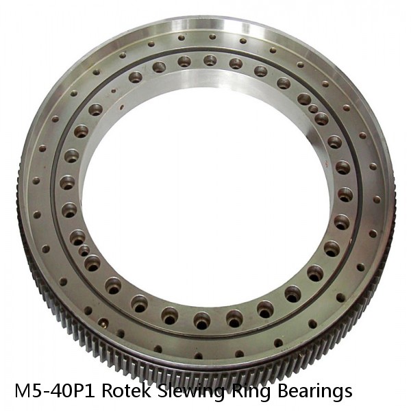 M5-40P1 Rotek Slewing Ring Bearings