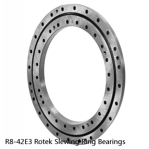 R8-42E3 Rotek Slewing Ring Bearings