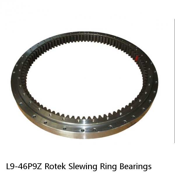 L9-46P9Z Rotek Slewing Ring Bearings