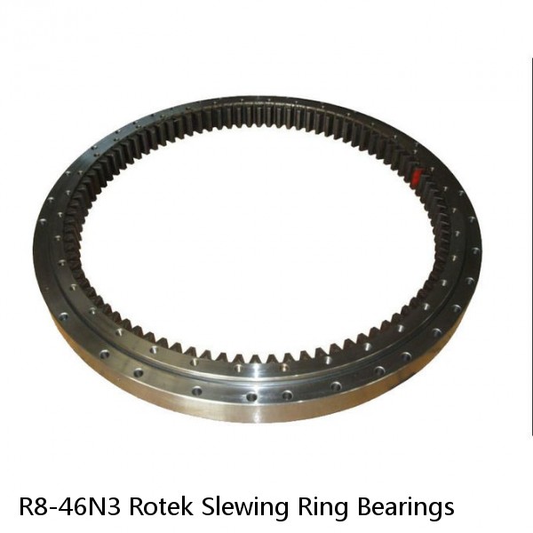 R8-46N3 Rotek Slewing Ring Bearings