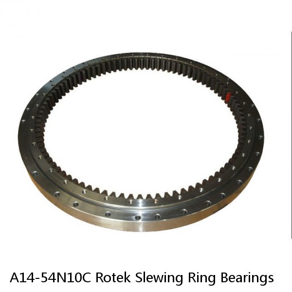 A14-54N10C Rotek Slewing Ring Bearings