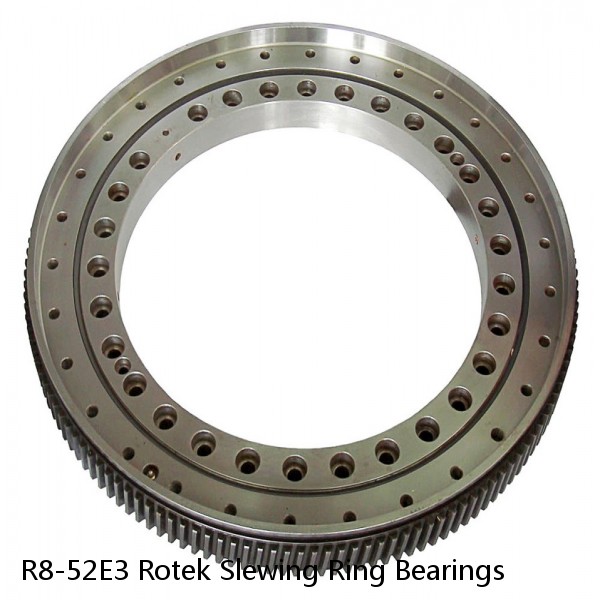 R8-52E3 Rotek Slewing Ring Bearings