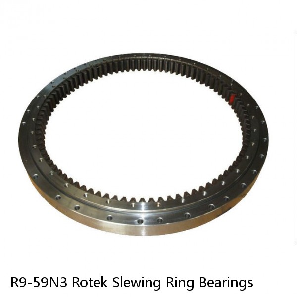 R9-59N3 Rotek Slewing Ring Bearings