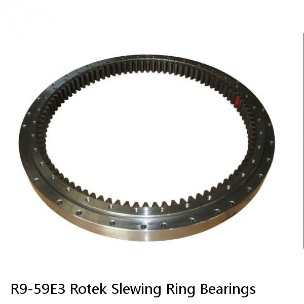 R9-59E3 Rotek Slewing Ring Bearings