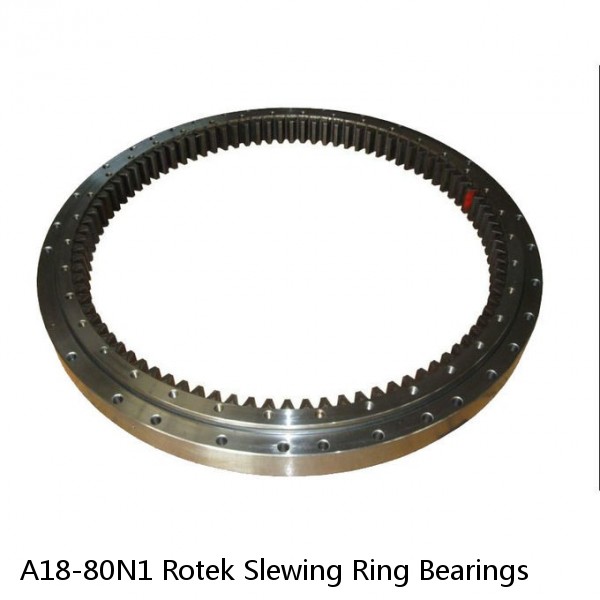 A18-80N1 Rotek Slewing Ring Bearings