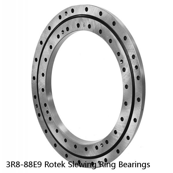 3R8-88E9 Rotek Slewing Ring Bearings