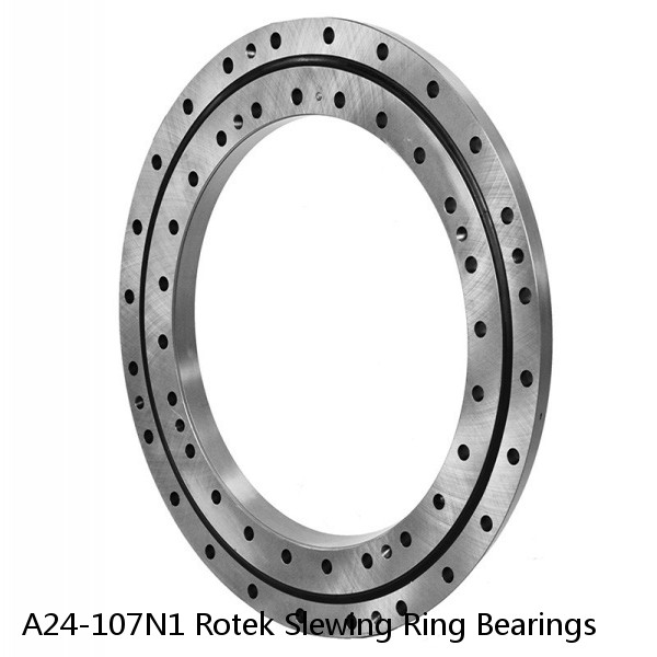 A24-107N1 Rotek Slewing Ring Bearings