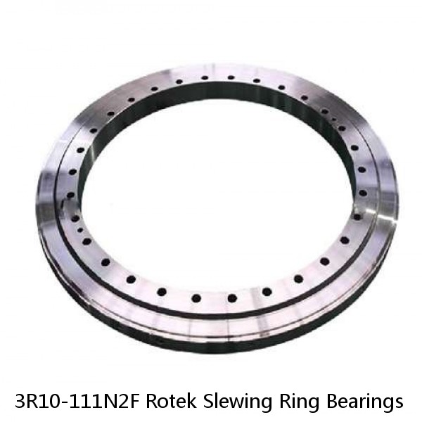 3R10-111N2F Rotek Slewing Ring Bearings