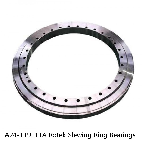 A24-119E11A Rotek Slewing Ring Bearings