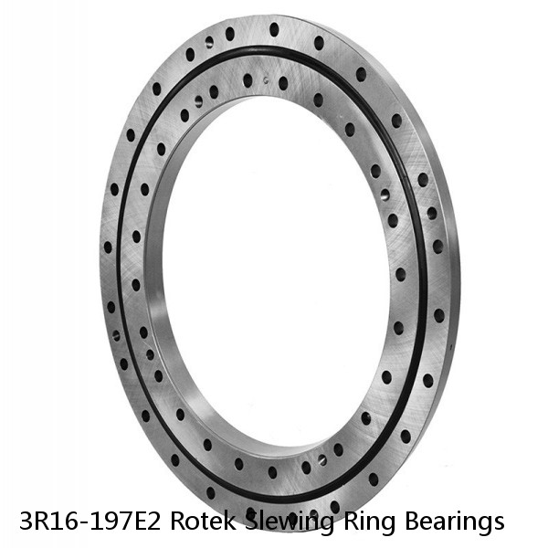 3R16-197E2 Rotek Slewing Ring Bearings