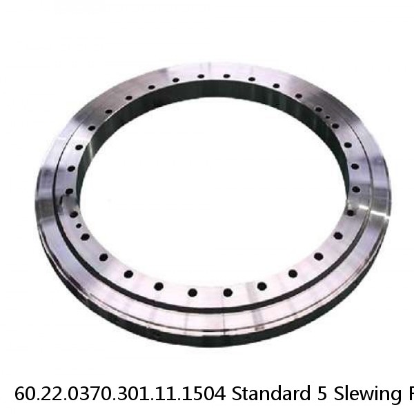 60.22.0370.301.11.1504 Standard 5 Slewing Ring Bearings