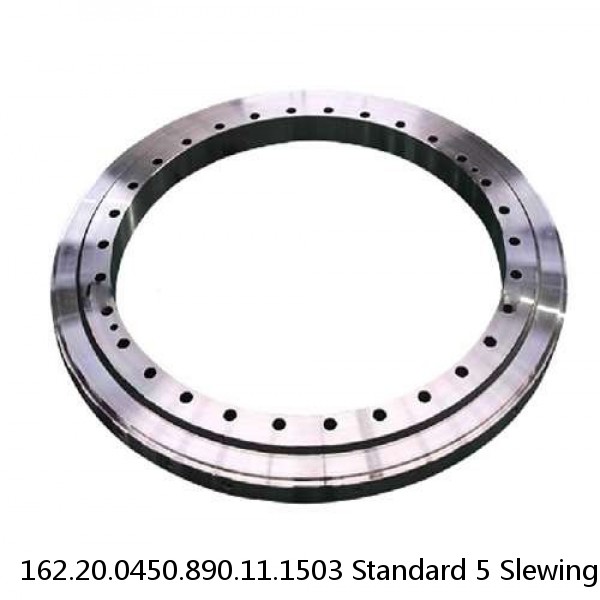 162.20.0450.890.11.1503 Standard 5 Slewing Ring Bearings