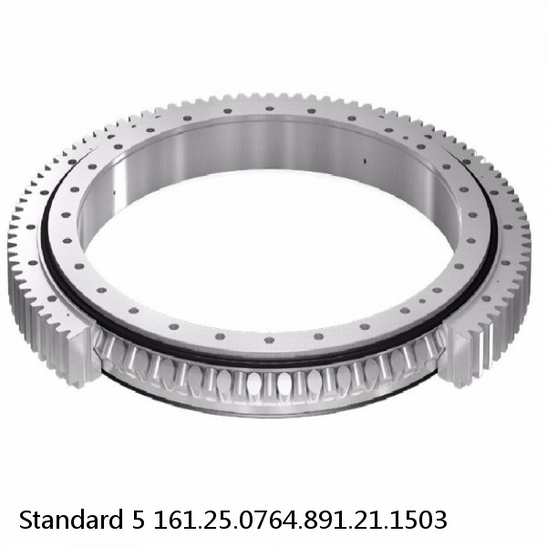 161.25.0764.891.21.1503 Standard 5 Slewing Ring Bearings