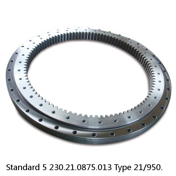 230.21.0875.013 Type 21/950. Standard 5 Slewing Ring Bearings