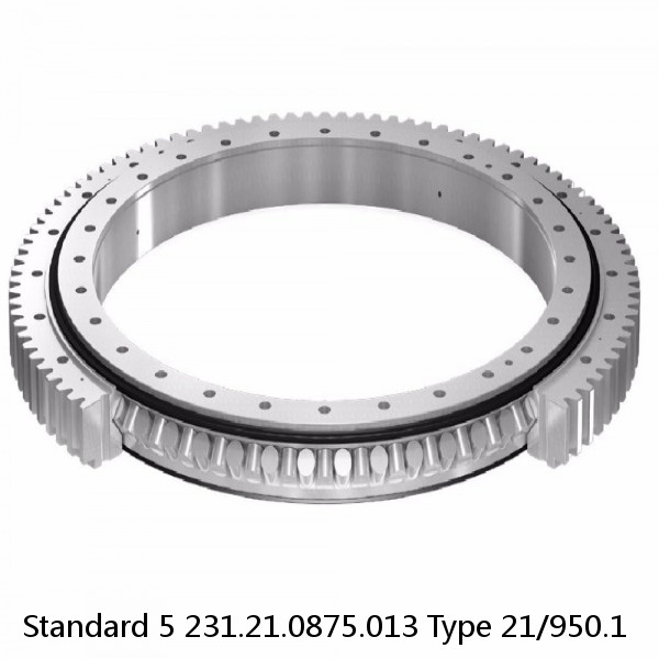 231.21.0875.013 Type 21/950.1 Standard 5 Slewing Ring Bearings