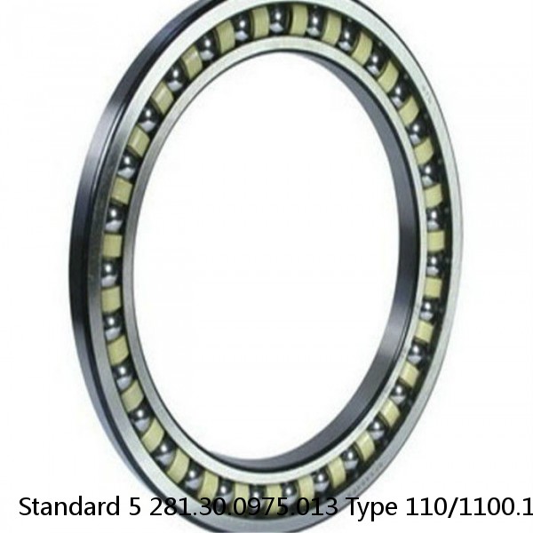 281.30.0975.013 Type 110/1100.1 Standard 5 Slewing Ring Bearings