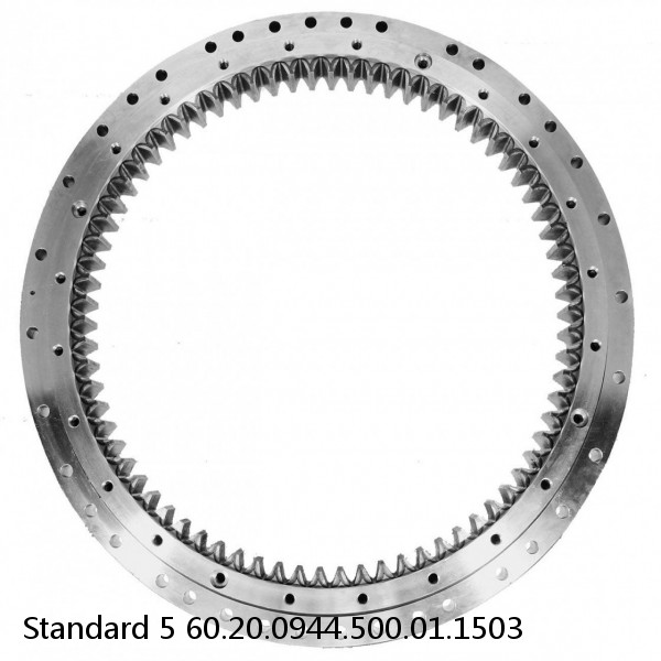 60.20.0944.500.01.1503 Standard 5 Slewing Ring Bearings