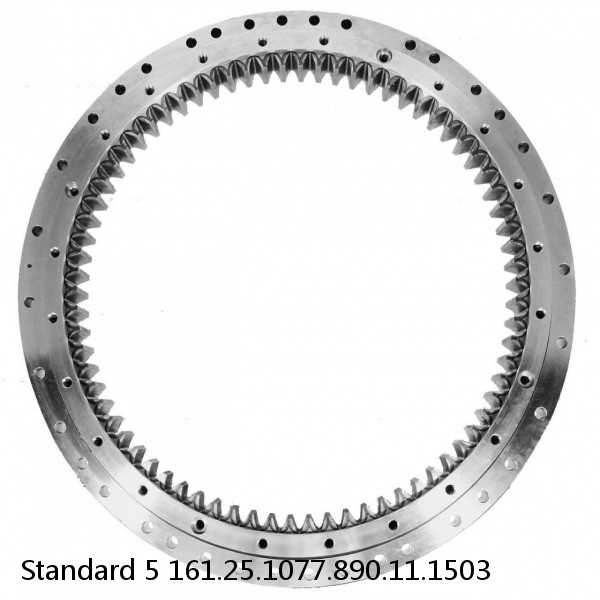 161.25.1077.890.11.1503 Standard 5 Slewing Ring Bearings