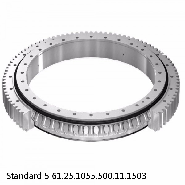 61.25.1055.500.11.1503 Standard 5 Slewing Ring Bearings