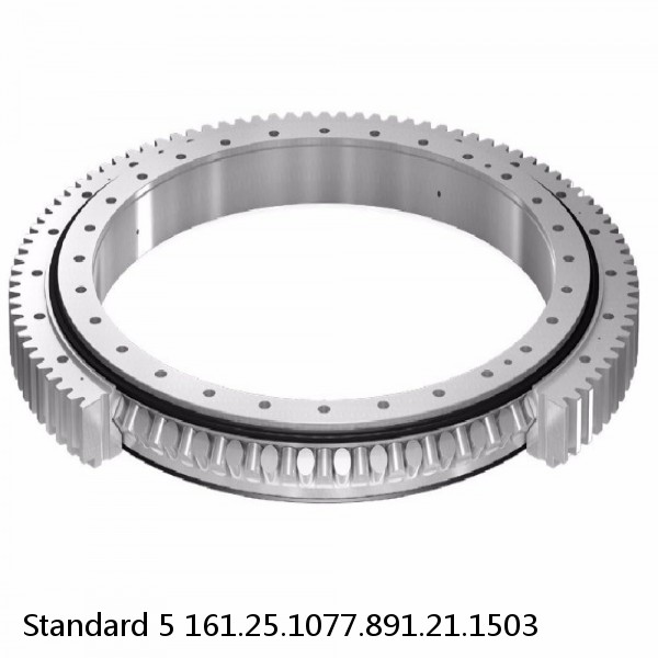 161.25.1077.891.21.1503 Standard 5 Slewing Ring Bearings