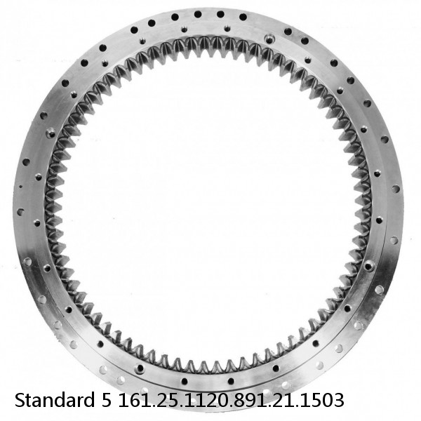 161.25.1120.891.21.1503 Standard 5 Slewing Ring Bearings