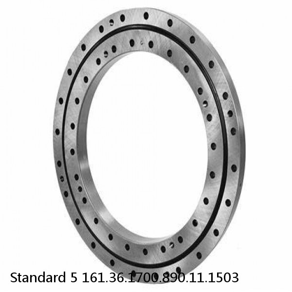 161.36.1700.890.11.1503 Standard 5 Slewing Ring Bearings