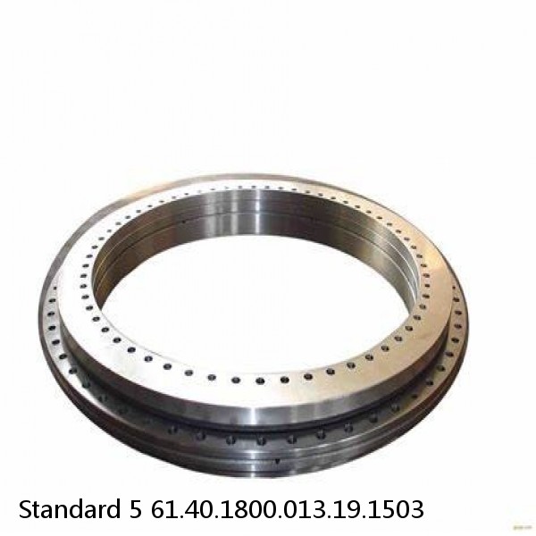 61.40.1800.013.19.1503 Standard 5 Slewing Ring Bearings