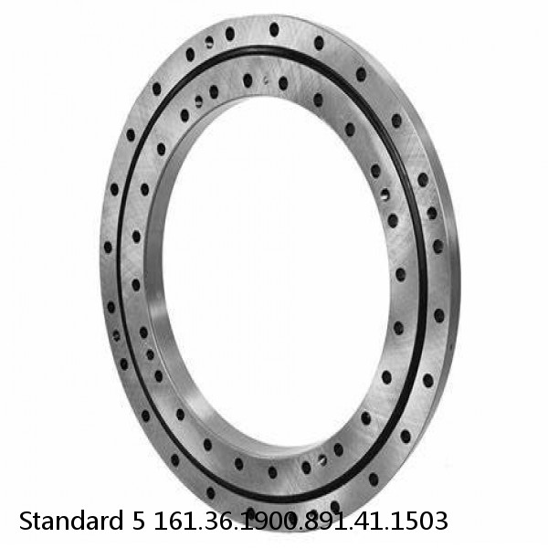 161.36.1900.891.41.1503 Standard 5 Slewing Ring Bearings