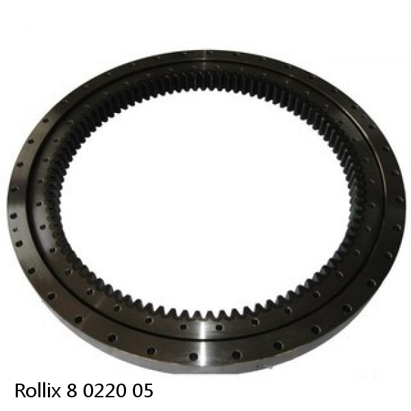 8 0220 05 Rollix Slewing Ring Bearings