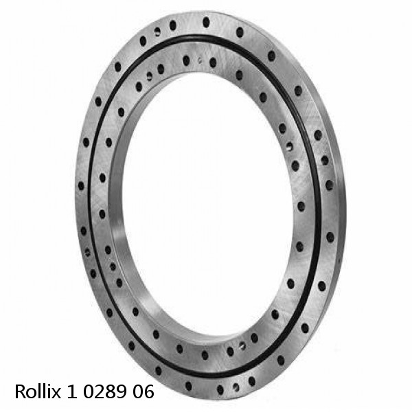 1 0289 06 Rollix Slewing Ring Bearings