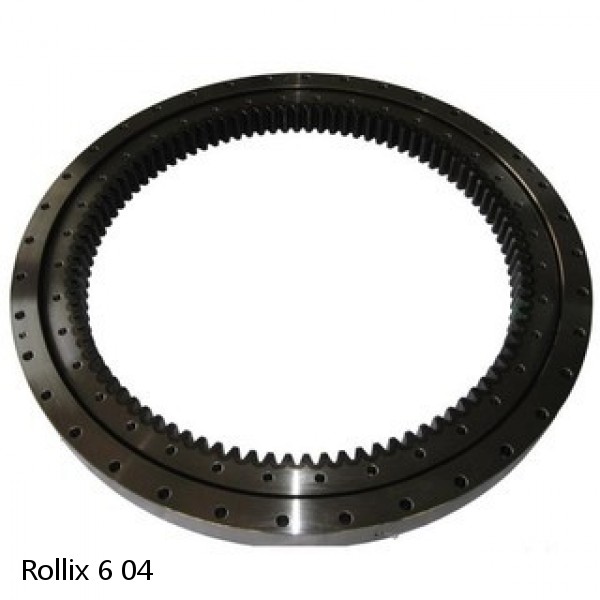 6 04 Rollix Slewing Ring Bearings