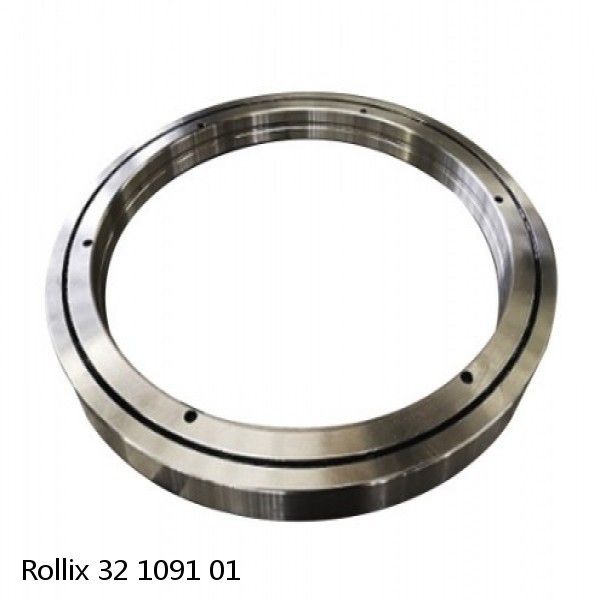 32 1091 01 Rollix Slewing Ring Bearings