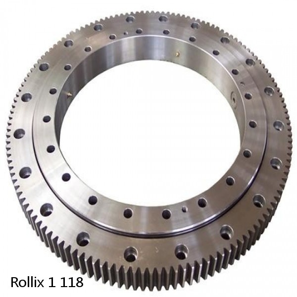 1 118 Rollix Slewing Ring Bearings