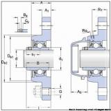 skf F2B 20M-WF Ball bearing oval flanged units