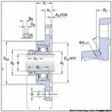 1.5000 in x 5.6563 in x 102 mm  skf F2B 108-FM Ball bearing oval flanged units