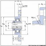 skf F2BC 104-TPZM Ball bearing oval flanged units