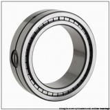 45 mm x 100 mm x 25 mm  NTN NUP309U Single row cylindrical roller bearings